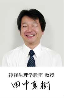 神経生理学分野 教授 田中真樹